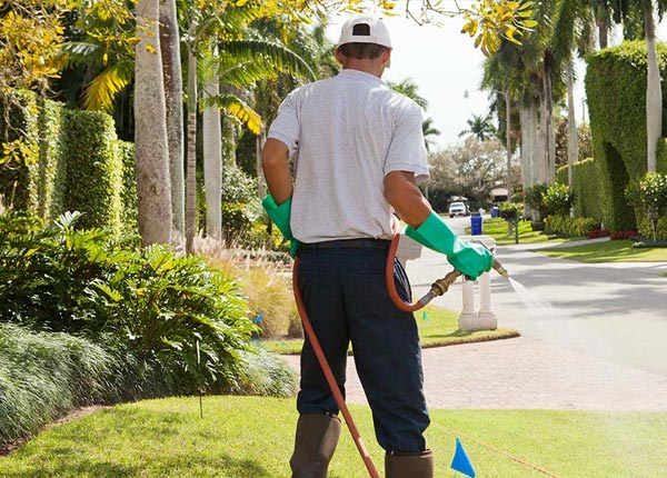 About Mc Caskill AR Pest Control Pros